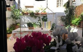 Secret Garden In The Old Town